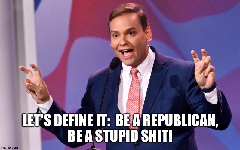 George Santos Air Quotes | LET'S DEFINE IT:  BE A REPUBLICAN,
BE A STUPID SHIT! | image tagged in george santos air quotes | made w/ Imgflip meme maker