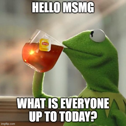 im stuck at home cause i sick | HELLO MSMG; WHAT IS EVERYONE UP TO TODAY? | image tagged in memes,but that's none of my business,kermit the frog | made w/ Imgflip meme maker
