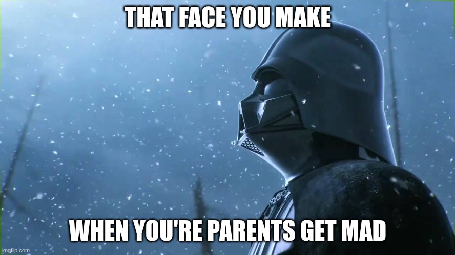 Staring off in the distance be like | THAT FACE YOU MAKE; WHEN YOU'RE PARENTS GET MAD | image tagged in darth vader in the snow | made w/ Imgflip meme maker
