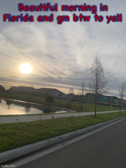 Beautiful morning in Florida and gm btw to yall | made w/ Imgflip meme maker