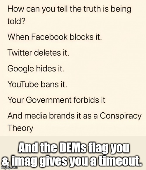 PROOF positive.. | And the DEMs flag you & imag gives you a timeout. | image tagged in nwo,censorship | made w/ Imgflip meme maker