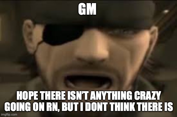 i did a quick scan of msmg | GM; HOPE THERE ISN’T ANYTHING CRAZY GOING ON RN, BUT I DONT THINK THERE IS | image tagged in naked snake scream | made w/ Imgflip meme maker