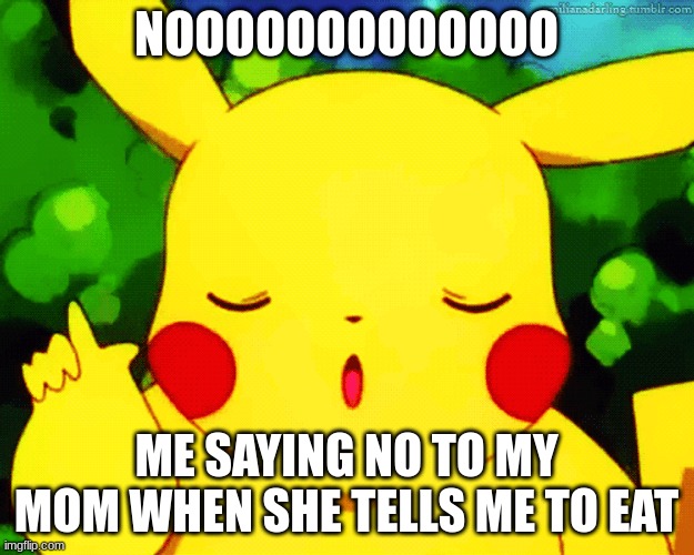 NOOOOOOOOOOOOO; ME SAYING NO TO MY MOM WHEN SHE TELLS ME TO EAT | image tagged in memes | made w/ Imgflip meme maker