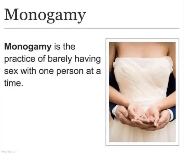 Monogamy | image tagged in monogamy,practice,barely having sex,with one person | made w/ Imgflip meme maker