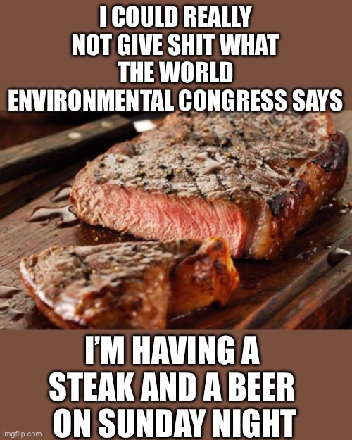 Yep | I COULD REALLY NOT GIVE SHIT WHAT THE WORLD ENVIRONMENTAL CONGRESS SAYS; I’M HAVING A STEAK AND A BEER  ON SUNDAY NIGHT | image tagged in democrats | made w/ Imgflip meme maker