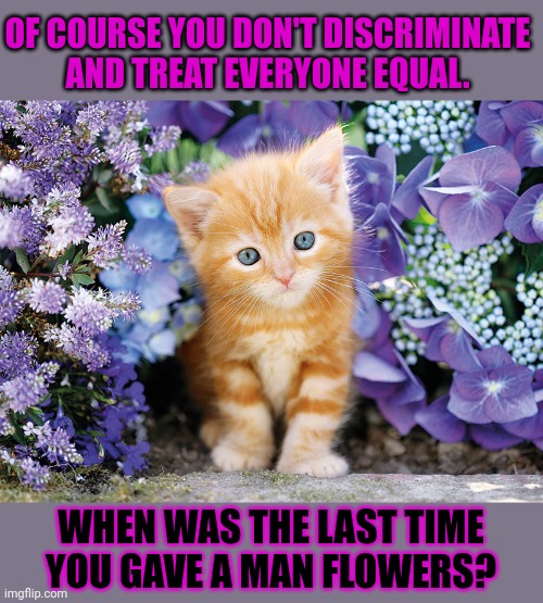 This #lolcat wonders if you really treat everyone equal | OF COURSE YOU DON'T DISCRIMINATE
AND TREAT EVERYONE EQUAL. WHEN WAS THE LAST TIME
YOU GAVE A MAN FLOWERS? | image tagged in gender equality,equality,flowers,lolcat,think about it | made w/ Imgflip meme maker