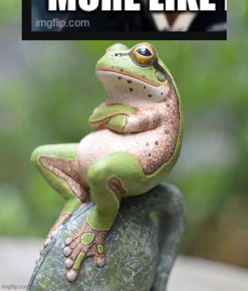 nah frog | image tagged in nah frog | made w/ Imgflip meme maker