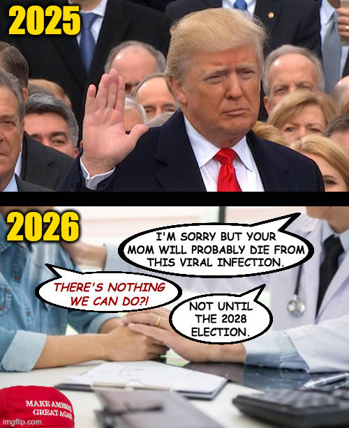 I guess you know what you like. | 2025; 2026; I'M SORRY BUT YOUR
MOM WILL PROBABLY DIE FROM
THIS VIRAL INFECTION. THERE'S NOTHING
WE CAN DO?! NOT UNTIL
THE 2028
ELECTION. | image tagged in memes,trump,death | made w/ Imgflip meme maker