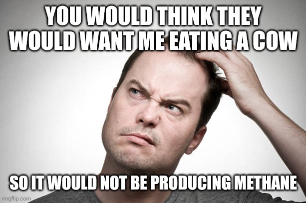 confused | YOU WOULD THINK THEY WOULD WANT ME EATING A COW SO IT WOULD NOT BE PRODUCING METHANE | image tagged in confused | made w/ Imgflip meme maker