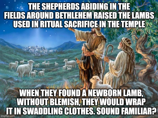 Shepherds abiding in the field | THE SHEPHERDS ABIDING IN THE FIELDS AROUND BETHLEHEM RAISED THE LAMBS USED IN RITUAL SACRIFICE IN THE TEMPLE; WHEN THEY FOUND A NEWBORN LAMB, WITHOUT BLEMISH, THEY WOULD WRAP IT IN SWADDLING CLOTHES. SOUND FAMILIAR? | image tagged in shepherds abiding in the field | made w/ Imgflip meme maker