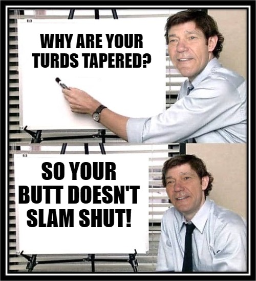 Why? | WHY ARE YOUR TURDS TAPERED? SO YOUR BUTT DOESN'T SLAM SHUT! | image tagged in the office guy at whiteboard,kewlew the most handsome man on earth | made w/ Imgflip meme maker
