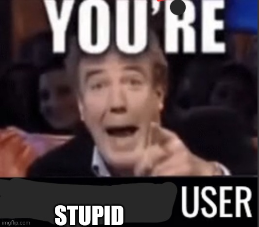 You’re underage user | STUPID | image tagged in you re underage user | made w/ Imgflip meme maker