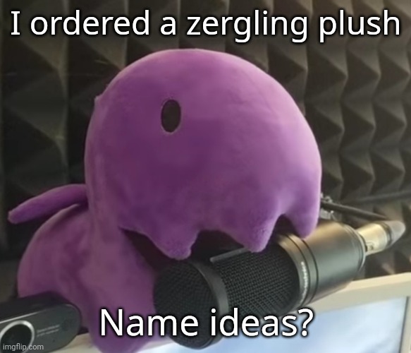 I could only think of Imageling | I ordered a zergling plush; Name ideas? | made w/ Imgflip meme maker
