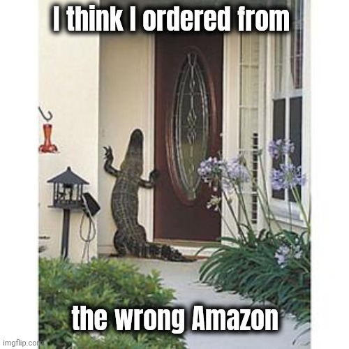 Alligator at the door | I think I ordered from the wrong Amazon | image tagged in alligator at the door | made w/ Imgflip meme maker