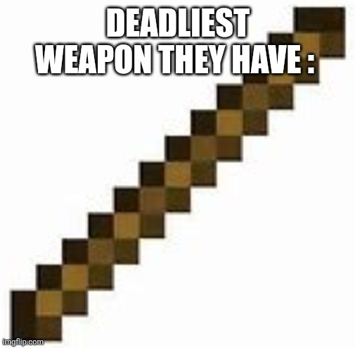 stick | DEADLIEST WEAPON THEY HAVE : | image tagged in stick | made w/ Imgflip meme maker