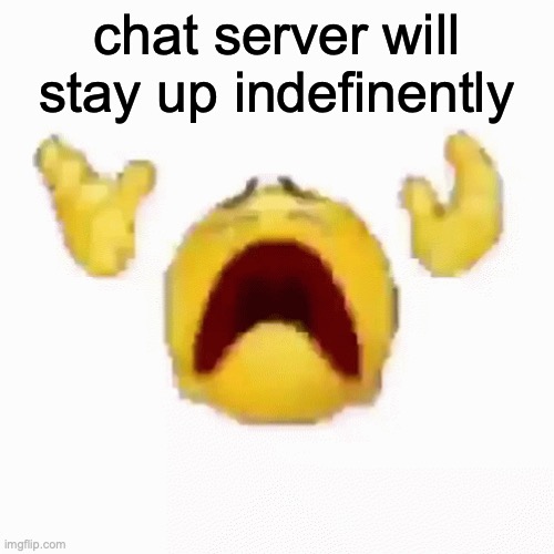 :nooo: | chat server will stay up indefinently | image tagged in nooo | made w/ Imgflip meme maker