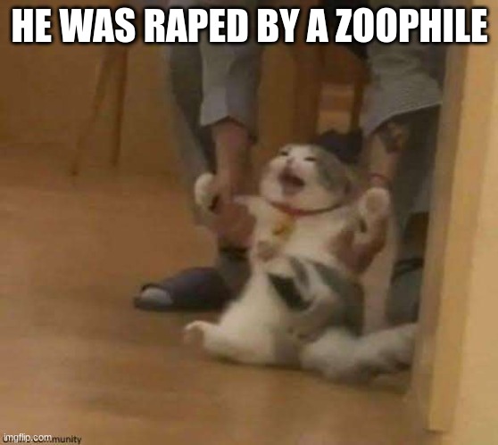 he is screaming for help. help him please. | HE WAS RAPED BY A ZOOPHILE | image tagged in cat forced | made w/ Imgflip meme maker