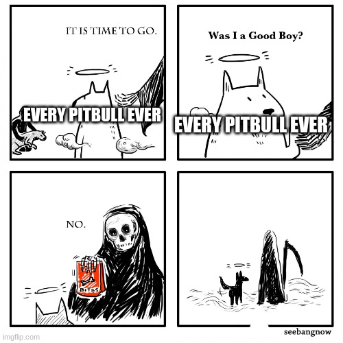 i like dogs but they dont deserve the praise | EVERY PITBULL EVER; EVERY PITBULL EVER | image tagged in was i a good boy | made w/ Imgflip meme maker