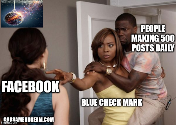 Facebook Blue Checkmark | PEOPLE MAKING 500 POSTS DAILY; FACEBOOK; BLUE CHECK MARK; GOSSAMERDREAM.COM | image tagged in protected kevin hart | made w/ Imgflip meme maker