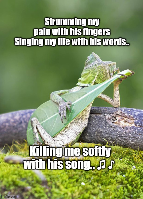 killing me softly lizard | Strumming my pain with his fingers
Singing my life with his words.. Killing me softly with his song.. ♫ ♪ | image tagged in lizard,singing | made w/ Imgflip meme maker