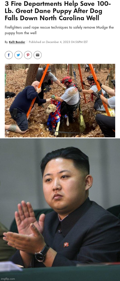 Great Dane | image tagged in kim jong un,saved,great dane,memes,dogs,dog | made w/ Imgflip meme maker