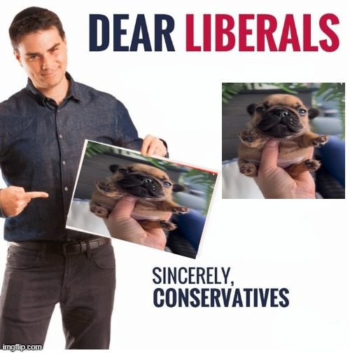 Ben Shapiro Dear Liberals | image tagged in ben shapiro dear liberals | made w/ Imgflip meme maker
