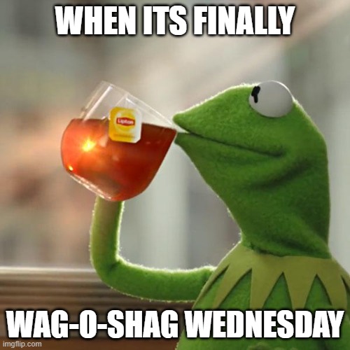 wago shag wednresday | WHEN ITS FINALLY; WAG-O-SHAG WEDNESDAY | image tagged in memes,but that's none of my business,kermit the frog | made w/ Imgflip meme maker