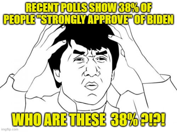 Jackie Chan WTF Meme | RECENT POLLS SHOW 38% OF PEOPLE "STRONGLY APPROVE" OF BIDEN WHO ARE THESE  38% ?!?! | image tagged in memes,jackie chan wtf | made w/ Imgflip meme maker