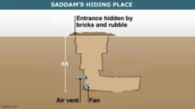 hiding spot no saddam hussein | image tagged in hiding spot no saddam hussein | made w/ Imgflip meme maker
