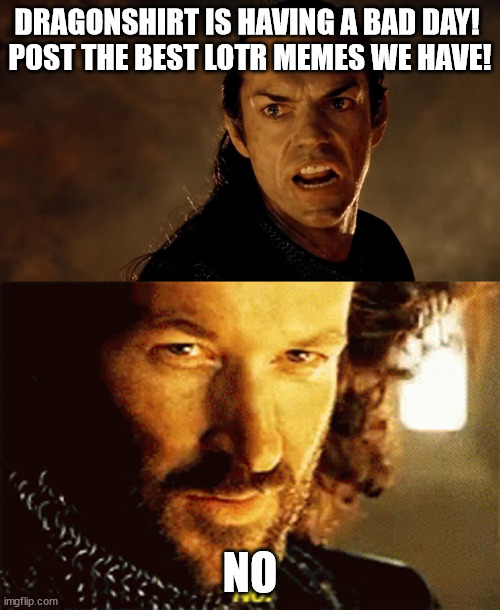 LOTR NO | DRAGONSHIRT IS HAVING A BAD DAY! 

POST THE BEST LOTR MEMES WE HAVE! NO | image tagged in lotr no | made w/ Imgflip meme maker