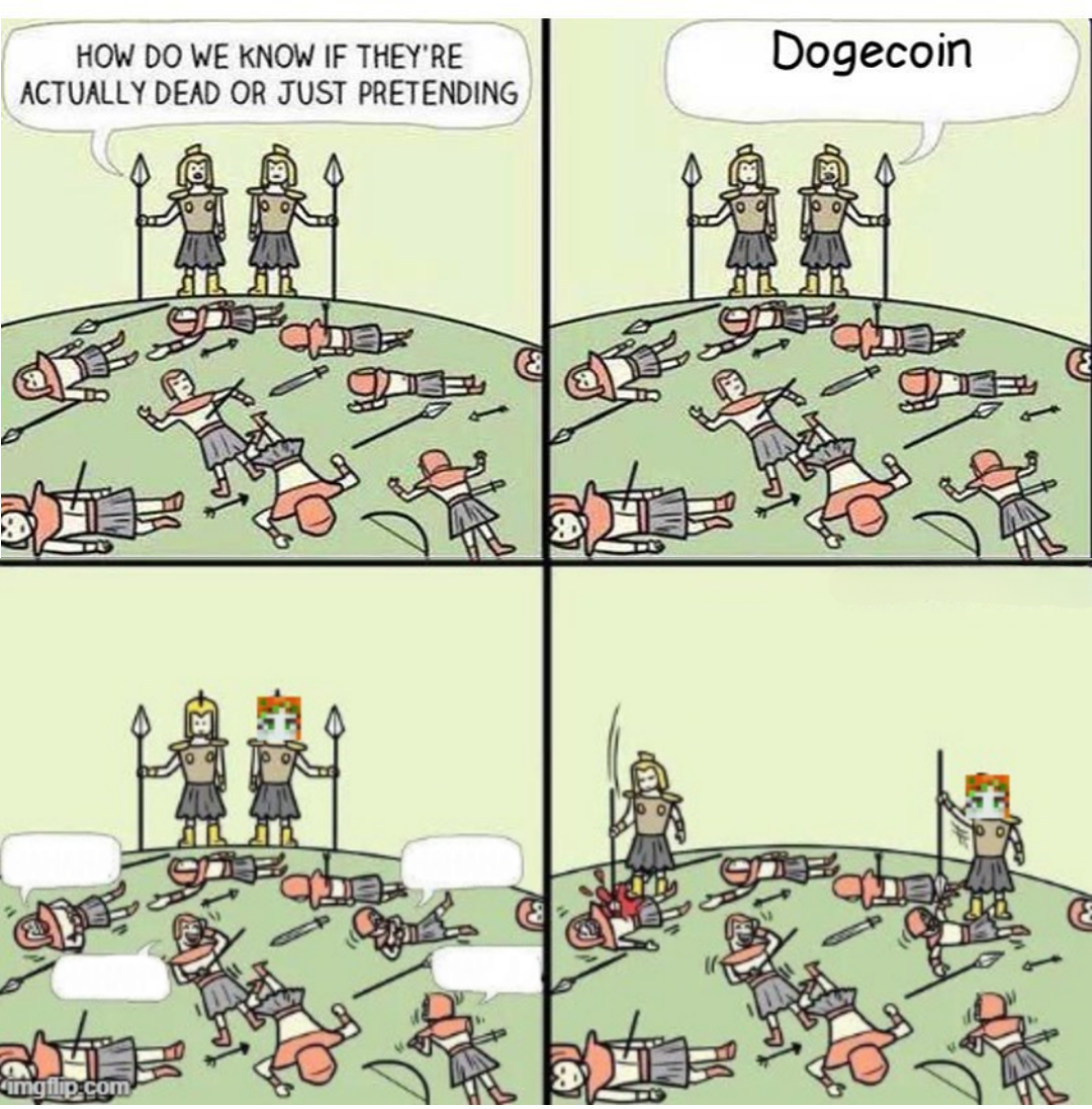 High Quality Dogecoin dead Blank Meme Template