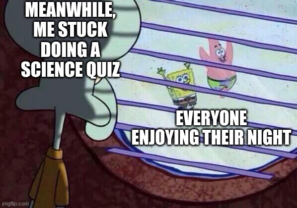 Squidward window | MEANWHILE, ME STUCK DOING A SCIENCE QUIZ; EVERYONE ENJOYING THEIR NIGHT | image tagged in squidward window | made w/ Imgflip meme maker