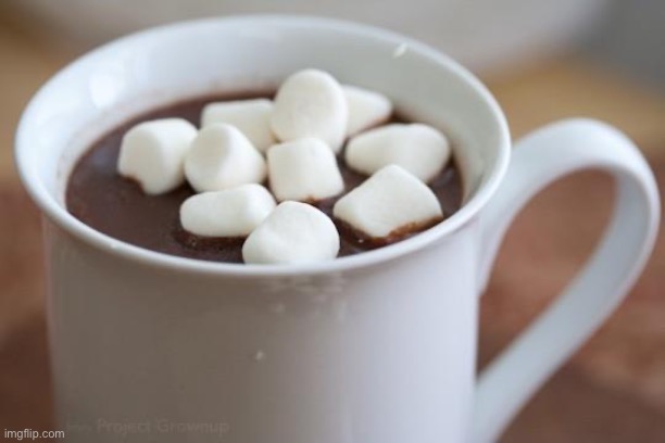 Hot cocoa  | image tagged in hot cocoa | made w/ Imgflip meme maker