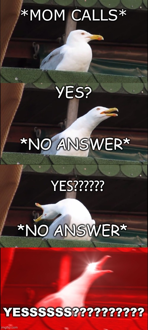 WHAT MOM????? | *MOM CALLS*; YES? *NO ANSWER*; YES?????? *NO ANSWER*; YESSSSSS?????????? | image tagged in memes,inhaling seagull,funny,lol,yes | made w/ Imgflip meme maker