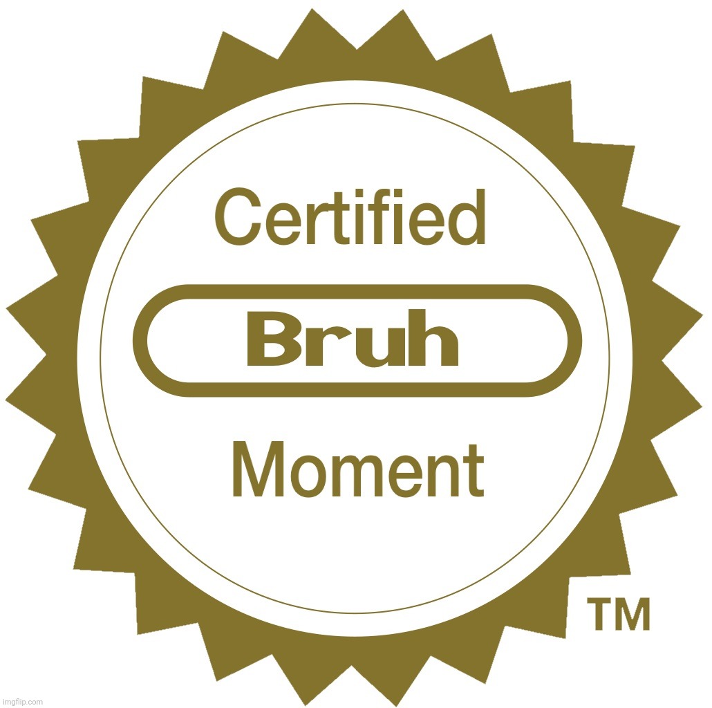 Certified bruh moment | image tagged in certified bruh moment | made w/ Imgflip meme maker