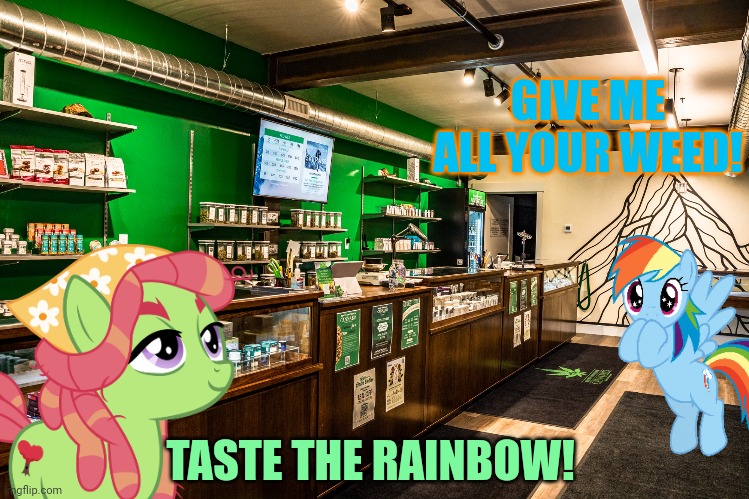Stop smoking weed! | GIVE ME ALL YOUR WEED! TASTE THE RAINBOW! | image tagged in tree hugger,rainbow dash,weed,smoke weed everyday | made w/ Imgflip meme maker