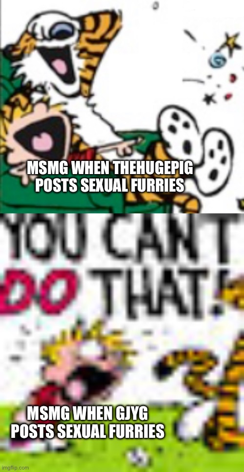 MSMG WHEN THEHUGEPIG POSTS SEXUAL FURRIES; MSMG WHEN GJYG POSTS SEXUAL FURRIES | image tagged in calvin and hobbes laugh,calvin and hobbes you can't do that | made w/ Imgflip meme maker