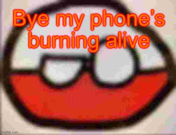 puolen | Bye my phone’s burning alive | image tagged in puolen | made w/ Imgflip meme maker