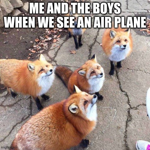 Fox Skulk | ME AND THE BOYS WHEN WE SEE AN AIR PLANE | image tagged in fox skulk | made w/ Imgflip meme maker