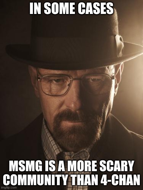 Walter White | IN SOME CASES; MSMG IS A MORE SCARY COMMUNITY THAN 4-CHAN | image tagged in walter white | made w/ Imgflip meme maker