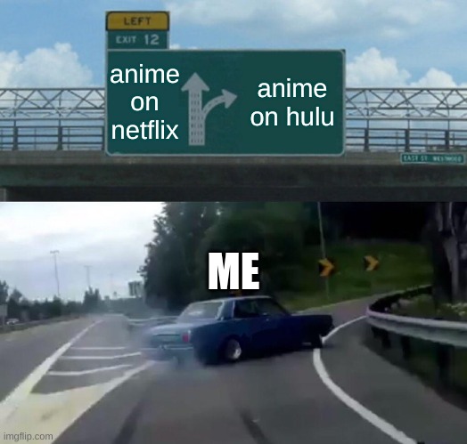 so true | anime on netflix; anime on hulu; ME | image tagged in memes,left exit 12 off ramp | made w/ Imgflip meme maker