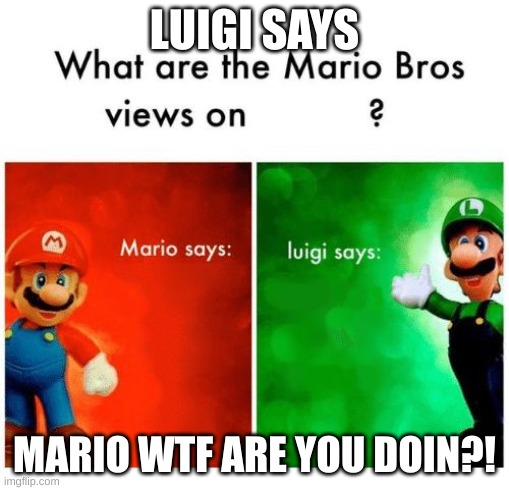 Mario says Luigi says | LUIGI SAYS; MARIO WTF ARE YOU DOIN?! | image tagged in mario says luigi says | made w/ Imgflip meme maker