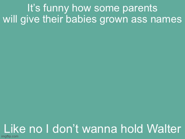 Hold Walter | It’s funny how some parents will give their babies grown ass names; Like no I don’t wanna hold Walter | made w/ Imgflip meme maker