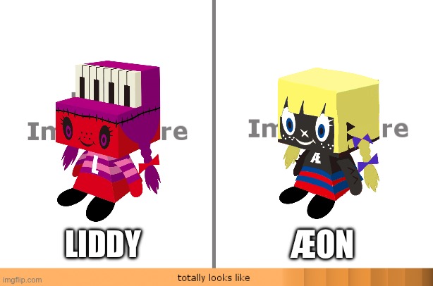 Is it because they have the same hairstyle? | ÆON; LIDDY | image tagged in totally looks like meme blank | made w/ Imgflip meme maker