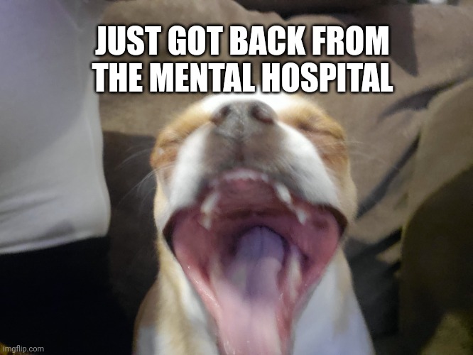 I did not succeed at my low tier god attempt | JUST GOT BACK FROM THE MENTAL HOSPITAL | made w/ Imgflip meme maker