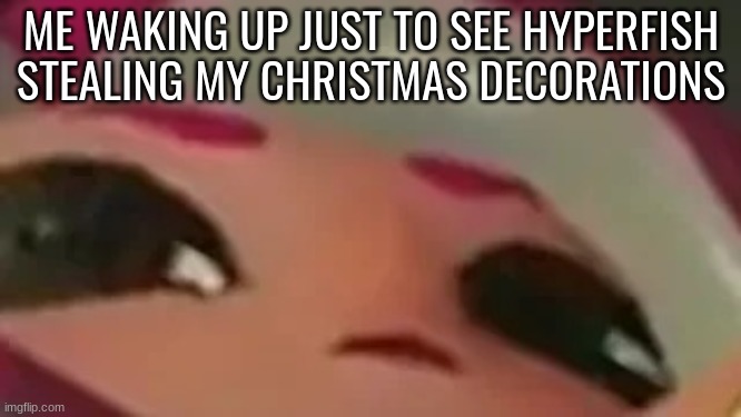 Splatmeme | ME WAKING UP JUST TO SEE HYPERFISH STEALING MY CHRISTMAS DECORATIONS | image tagged in splatmeme | made w/ Imgflip meme maker