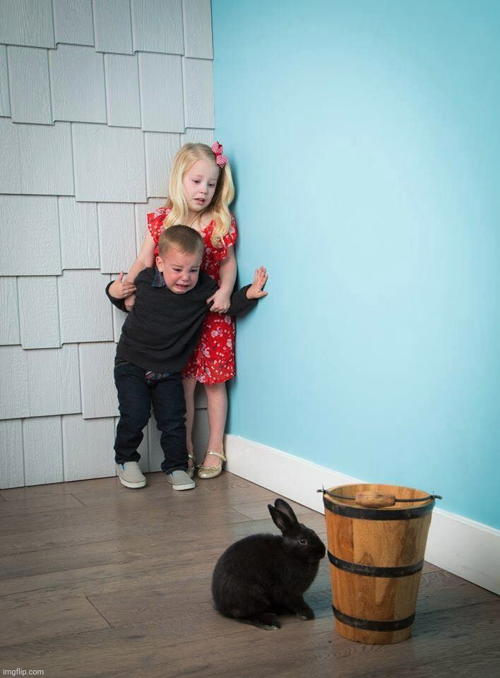 Kids scared of Rabbit | image tagged in kids scared of rabbit | made w/ Imgflip meme maker