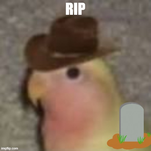 Gonb | RIP | image tagged in gonb | made w/ Imgflip meme maker