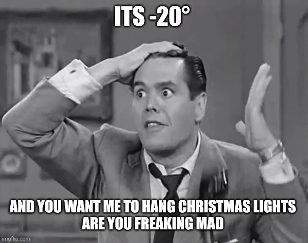 RIcky Frustrated  | ITS -20°; AND YOU WANT ME TO HANG CHRISTMAS LIGHTS 
ARE YOU FREAKING MAD | image tagged in ricky frustrated | made w/ Imgflip meme maker