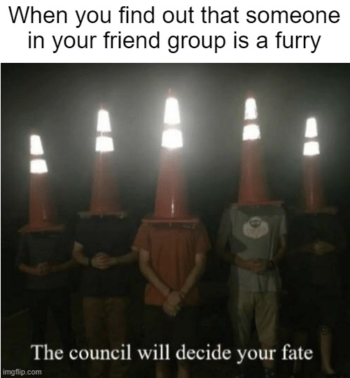 The council will decide your fate | When you find out that someone in your friend group is a furry | image tagged in the council will decide your fate | made w/ Imgflip meme maker